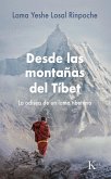 Desde las montañas del Tíbet (eBook, ePUB)