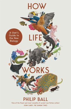 How Life Works (eBook, ePUB) - Ball, Philip