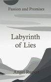 Labyrinth of Lies (eBook, ePUB)