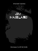 Jim Maitland (eBook, ePUB)