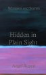 Hidden in Plain Sight (eBook, ePUB) - Bild 1