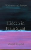 Hidden in Plain Sight (eBook, ePUB)