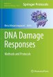 DNA Damage Responses - Bild 1