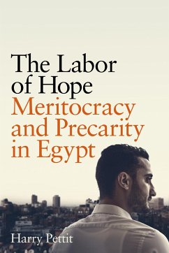 The Labor of Hope - Pettit, Harry