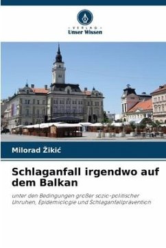 Schlaganfall irgendwo auf dem Balkan - Zikic, Milorad