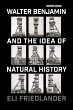 Walter Benjamin and the Idea of Natural... - Bild 1