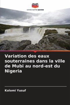 Variation des eaux souterraines dans la ville de Mubi au nord-est du Nigeria - Yusuf, Kolomi