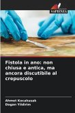 Fistola in ano: non chiusa e antica, ma ancora discutibile al crepuscolo