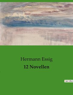 12 Novellen - Essig, Hermann