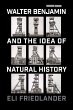 Walter Benjamin and the Idea of Natural... - Bild 1