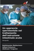 Un approccio sperimentale nel trattamento dell'ostruzione intestinale acuta