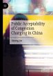 Public Acceptability of Congestion... - Bild 1