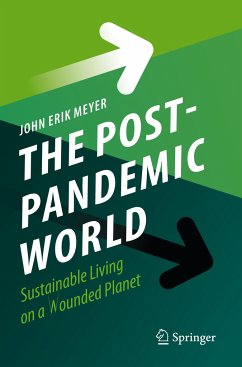 The Post-Pandemic World - Meyer, John Erik