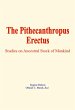 The Pithecanthropus Erectus (eBook,... - Bild 1