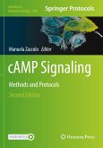 cAMP Signaling