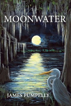 Cover Moonwater (eBook, ePUB)