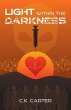 Light Within the Darkness - Bild 1