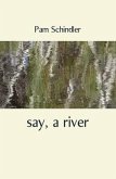 say, a river (eBook, ePUB)