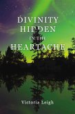Divinity Hidden in the Heartache (eBook, ePUB)