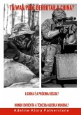 Taiwan pode derrotar a China? A China é a próxima Rússia? Mundo enfrenta a Terceira Guerra Mundial? (eBook, ePUB) Taiwan pode derrotar a China? A China é a próxima Rússia? Mundo enfrenta a Terceira Guerra Mundial? (eBook, ePUB)