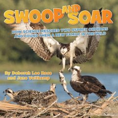 Swoop and Soar: How Science Rescued Two Osprey Orphans and Found Them a New Family in the Wild - Rose, Deborah Lee; Veltkamp, Jane