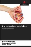 Polyomavirus nephritis