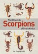 Field Guide to Scorpions of South Africa - Bild 1