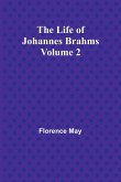 The Life of Johannes Brahms Volume 2
