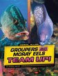Groupers and Moray Eels Team Up! - Bild 1