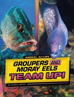 Groupers and Moray Eels Team Up! - Koster, Gloria