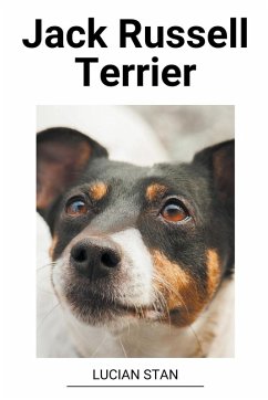 Jack Russell Terrier - Stan, Lucian
