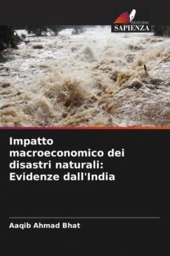 Cover Impatto macroeconomico dei disastri naturali: Evidenze dall'India