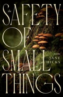 The Safety of Small Things - Hicks, Jane