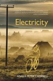 Electricity (eBook, ePUB)
