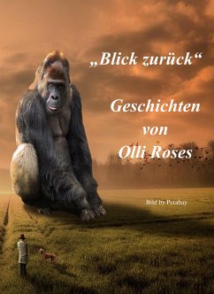 Blick zurück (eBook, ePUB) - Roses, Olli