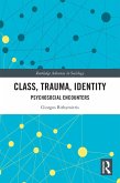 Class, Trauma, Identity (eBook, PDF)