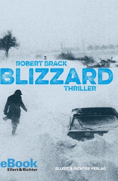 Blizzard (eBook, ePUB) - Brack, Robert