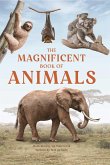 The Magnificent Book of Animals (eBook, ePUB)