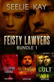 Feisty Lawyers Bundle (eBook, ePUB) Feisty Lawyers Bundle (eBook, ePUB)