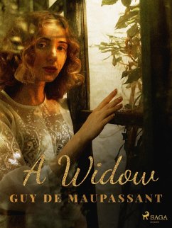 Cover A Widow (eBook, ePUB)