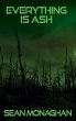 Everything is Ash (eBook, ePUB) - Bild 1