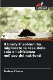 Il bradyrhizobium ha migliorato la resa della soia e l'efficienza nell'uso dei nutrienti