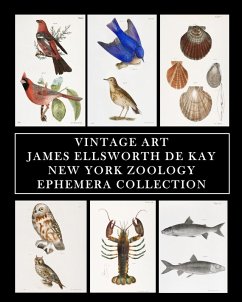 Cover Vintage Art