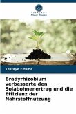 Bradyrhizobium verbesserte den Sojabohnenertrag und die Effizienz der Nährstoffnutzung