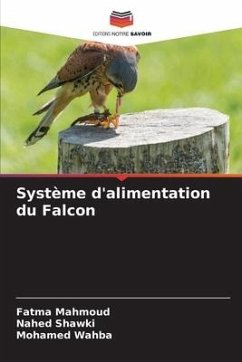 Système d'alimentation du Falcon - Mahmoud, Fatma;Shawki, Nahed;Wahba, Mohamed