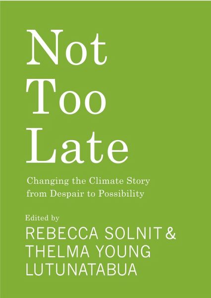 Not Too Late (eBook, ePUB)