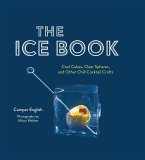 The Ice Book (eBook, ePUB)