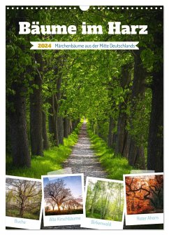 Bäume im Harz (Wandkalender 2024 DIN A3 hoch), CALVENDO Monatskalender