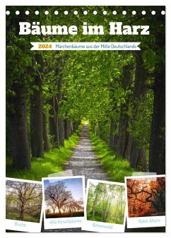 Bäume im Harz (Tischkalender 2024 DIN A5 hoch), CALVENDO Monatskalender