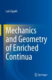 Mechanics and Geometry of Enriched Continua